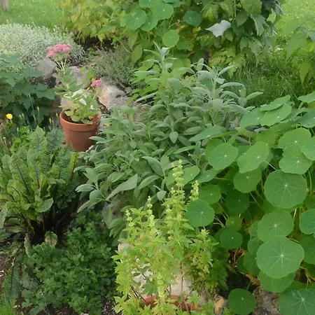 Bergundmoos Allgaeu Pfronten