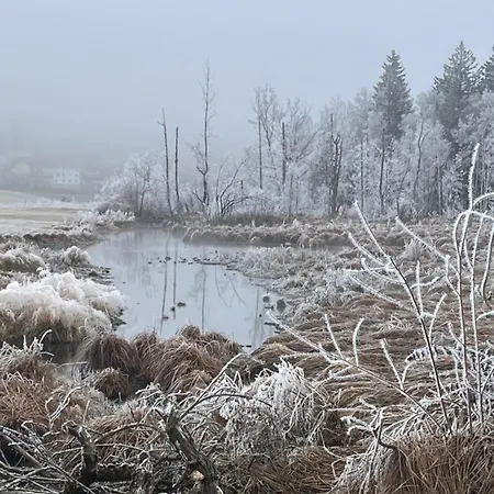 Bergundmoos Allgaeu Pfronten